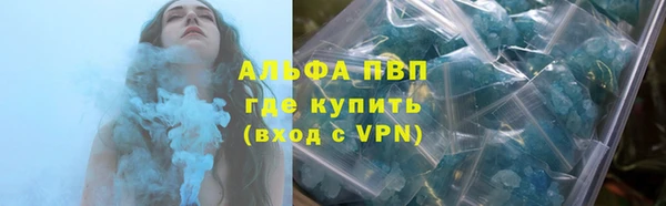 крисы Невельск