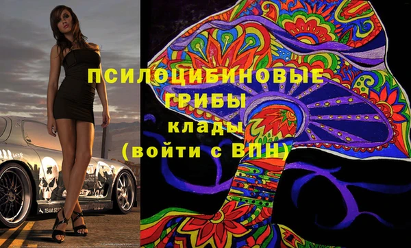 сатива Михайловск
