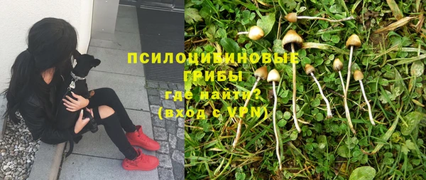 сатива Михайловск
