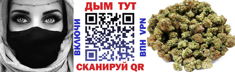 площадка формула  Суоярви  Каннабис индика 